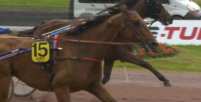 AUBRION DU GERS gagnant de la 5ème étape du Grand National du Trot 2016 à LA CAPELLE