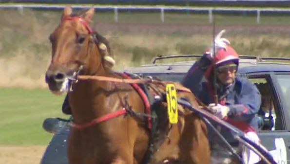 AUBRION DU GERS gagnant de la 8ème étape du Grand National du Trot 2016 à SAINT-MALO AUBRION DU GERS gagnant de la 8ème étape du Grand National du Trot 2016 à SAINT-MALO