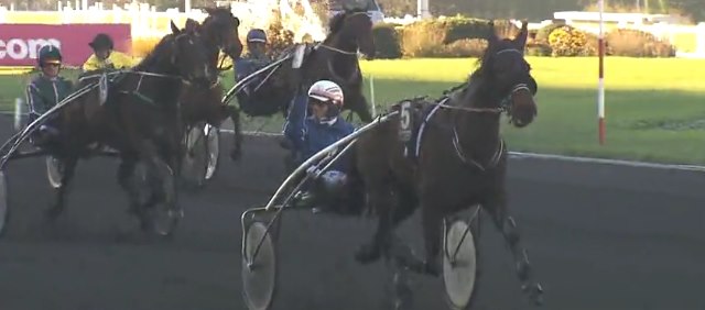 AVRIK DE GUEZ gagnant du dernier quinté + du mois de novembre 2016 AVRIK DE GUEZ gagnant du dernier quinté + du mois de novembre 2016