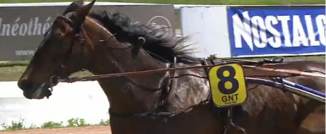 BAHIA QUESNOT gagnant de la 4ème étape du Grand National du Trot 2016