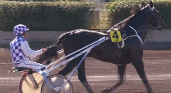 BALBIR gagnant de la 11ème étape du Grand National du Trot 2016 à SALON-DE-PROVENCE