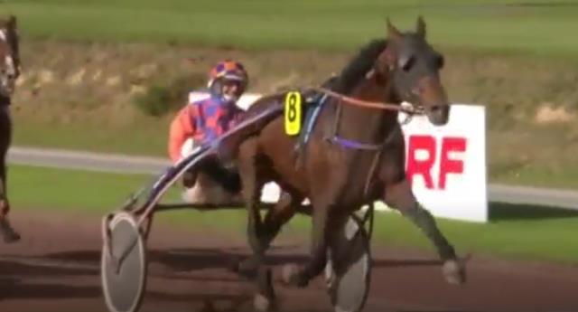BARRIO JOSSELYN (8 - Jean-Michel BAZIRE) gagnant de la 12ème étape du Grand National du Trot 2017 à NANTES