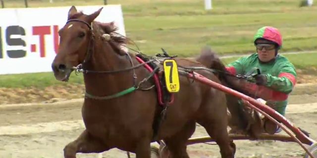 BAXTER DU KLAU (Franck NIVARD) gagnant de la 4ème étape du Grand National du Trot 2017 à TOULOUSE LA-CÉPIÈRE