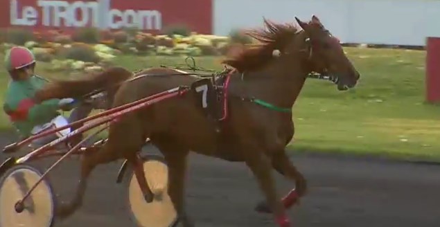BAXTER DU KLAU associé à Jean-Michel BAZIRE vainqueur du quinté + de Vendredi 21 Avril 2017 à VINCENNES