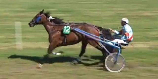 BEACH JULRY drivé par Jean-Paul GAUVIN vainqueur de la 11ème étape de Trophée Vert 2018 à AIX-LES-BAINS