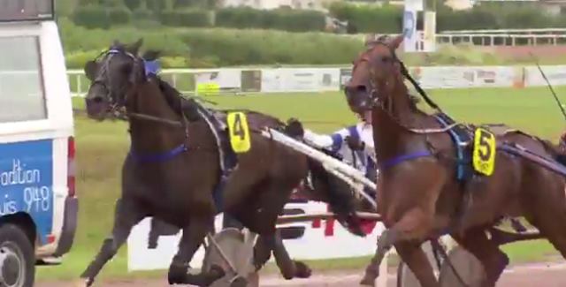 BEL AVIS (Numéro 5 - Eric RAFFIN) gagnant de la 8ème étape du Grand National du Trot 2017 à SAINT-MALO