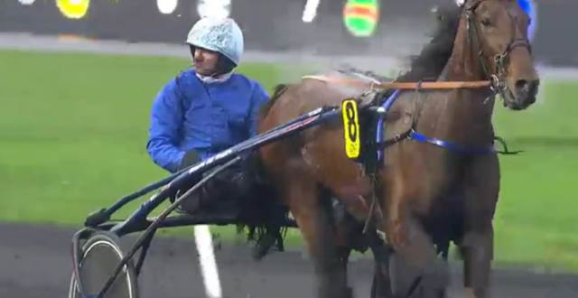 BEL AVIS (8 - Jean-Michel BAZIRE) gagnant de la Finale du Grand National du Trot 2017 à VINCENNES