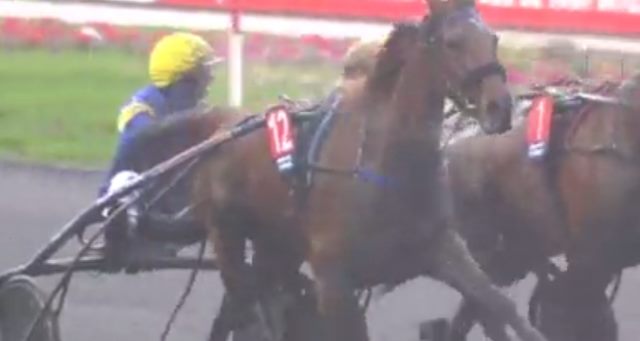 BELINA JOSSELYN drivé par Jean-Michel BAZIRE vainqueur du GRAND PRIX D'AMÉRIQUE 2019 à Vincennes