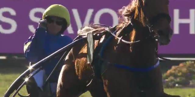 BELINA JOSSELYN drivé par Jean-Michel BAZIRE gagnant du GRAND PRIX DE PARIS 2019 à Vincennes