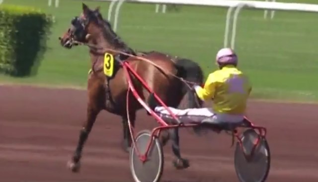 BEST BUISSONAY (Jérémy-Gaston VAN EECKHAUTE) gagnant de la 3ème étape du Grand National du Trot 2017 à LYON PARILLY