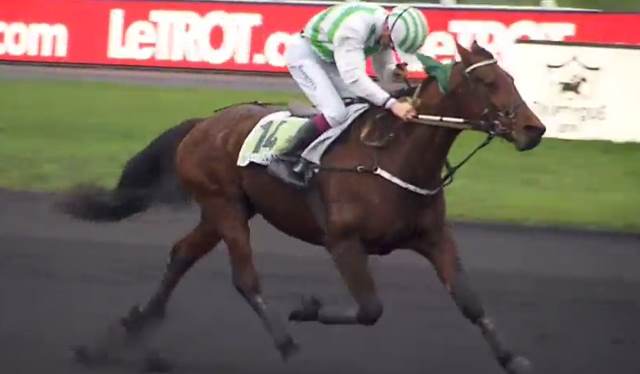 PRIX DE CORNULIER 2019 à Vincennes et la victoire de BILIBILI monté par Alexandre ABRIVARD