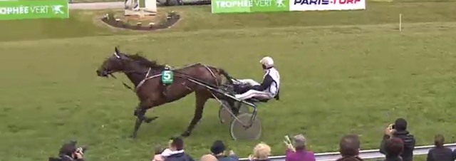 BINGO D'ATTAQUE vainqueur de la 4ème étape de Trophée Vert 2017 à BERNAY