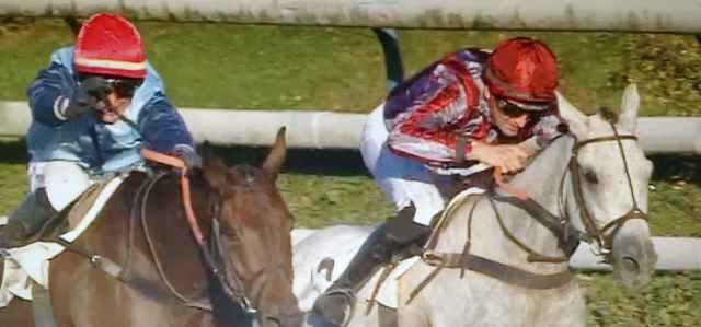 BIPOLAIRE (Thomas GUEGUEN) le vainqueur à droite à l'image et MILORD THOMAS dans le PRIX LE HAYE JOUSSELIN 2017 à AUTEUIL