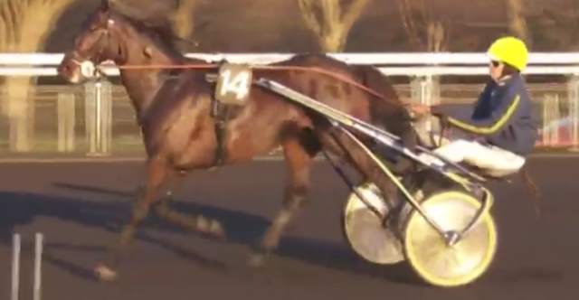 GRAND PRIX DU BELGIQUE 2018 à Vincennes et la victoire de BIRD PARKER drivé par Jean-Philippe MONCLIN