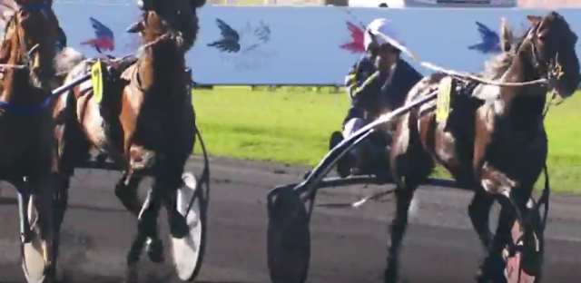 BIRD PARKER drivé par Jean-Philippe MONCLIN gagnant du GRAND PRIX DE PARIS 2018 à Vincennes