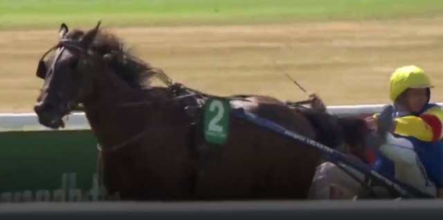 BLACKARO drivé par François LECANU vainqueur de la Finale de Trophée Vert 2018 à CRAON