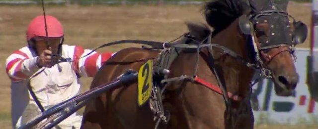 BOEING DU BOCAGE gagnant de la 9ème étape du Grand National du Trot 2016 aux SABLES-D'OLONNE BOEING DU BOCAGE gagnant de la 9ème étape du Grand National du Trot 2016 aux SABLES-D'OLONNE