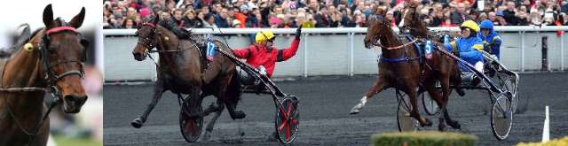 BOLD EAGLE vainqueur du Grand Prix d'Amérique 2017 à Vincennes