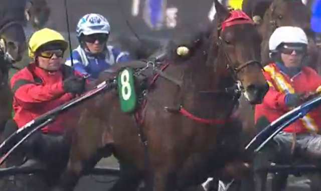 GRAND PRIX DE BOURGOGNE 2018 et la victoire de BOLD EAGLE drivé par Franck NIVARD