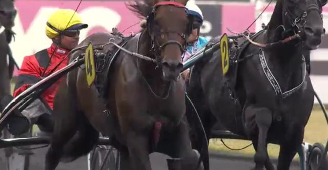 BOLD EAGLE drivé par Franck NIVARD vainqueur du PRIX RENÉ BALLIÈRE 2017 à VINCENNES