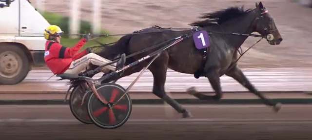 BOLD EAGLE drivé par Franck NIVARD vainqueur du Grand Critérium de Vitesse de la Côte-d'Azur 2018