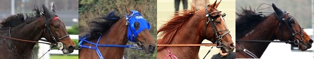 Les Champions du Grand Prix du Bourbonnais 2016 à VINCENNES Les Champions du Grand Prix du Bourbonnais 2016 à VINCENNES