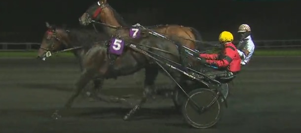 READY CASH - Vainqueur du Championnat Européen des 5 Ans 2016
