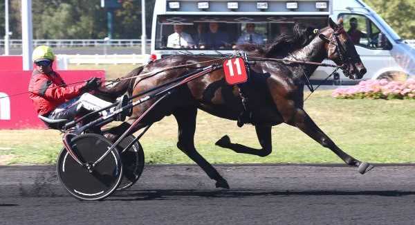BOLD EAGLE gagnant du CRITÉRIUM DES 5 ANS 2016 BOLD EAGLE gagnant du CRITÉRIUM DES 5 ANS