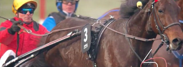 BOLD EAGLE vainqueur du Grand Prix de Bourgogne 2017 à Vincennes