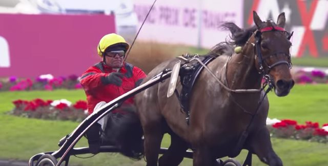 BOLD EAGLE vainqueur du Grand Prix de France 2017 à Vincennes