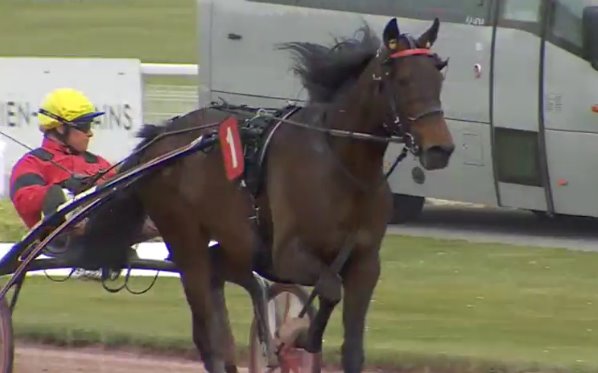 BOLD EAGLE (Franck NIVARD) vainqueur du PRIX DE L'ATLANTIQUE 2017 à Enghien