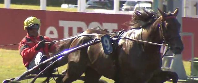 BOLD EAGLE gagnant du PRIX JOCKEY 2016 BOLD EAGLE gagnant du PRIX JOCKEY 2016