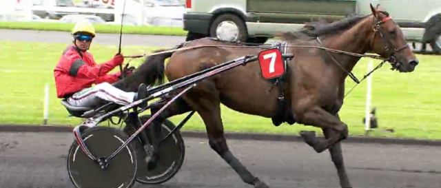 BOLD EAGLE gagnant du PRIX RENÉ BALLIÈRE 2016 à VINCENNES