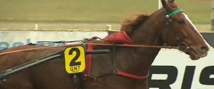 BOLIDE JENILOU gagnant de la 13ème étape du Grand National du Trot 2016 à MAUQUENCHY BOLIDE JENILOU gagnant de la 13ème étape du Grand National du Trot 2016 à MAUQUENCHY