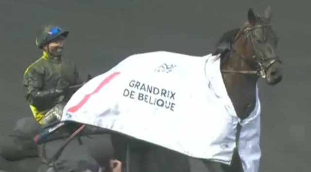 BRIAC DARK vainqueur du Grand Prix de Belgique 2017 à Vincennes