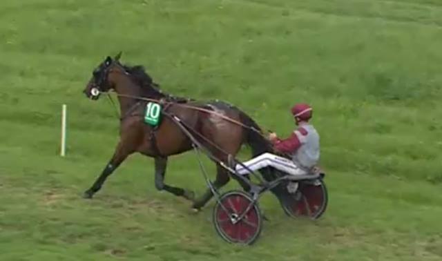 BUGSY MALONE (Yoann LEBOURGEOIS) vainqueur de la 13ème étape du Trophée Vert 2017 à MONTIER-EN-DER