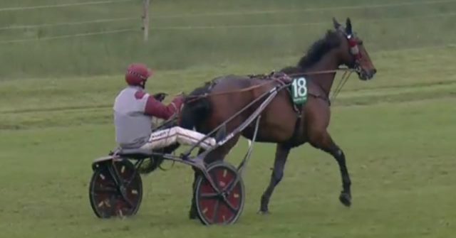 BUGSY MALONE drivé par Yoann LEBOURGEOIS vainqueur de la 3ème étape de Trophée Vert 2018 à RAMBOUILLET