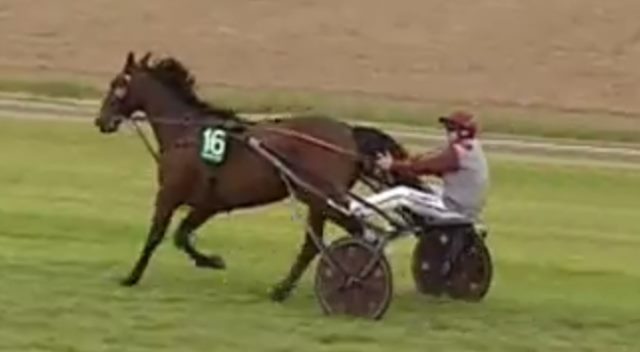 BUGSY MALONE drivé par Yoann LEBOURGEOIS vainqueur de la 4ème étape de Trophée Vert 2018 à FOUGÈRES