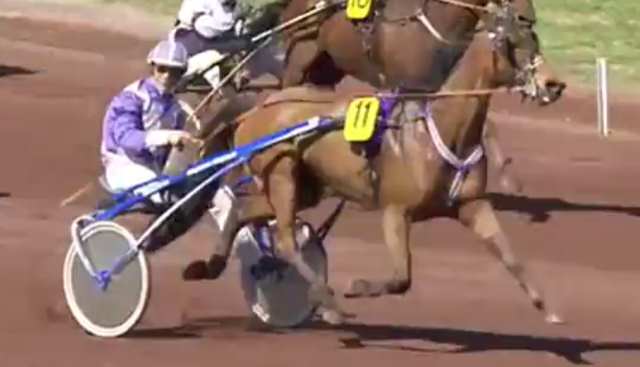 BULLE DE LAUMONT (11 - Stéphane CINGLAND) gagnant de la 2ème étape du Grand National du Trot 2019 à MARSEILLE BORÉLY