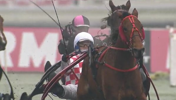 BUSY MONEY RINGEAT (Franck OUVRIE) gagnant du dernier quinté + de l'année 2016 BUSY MONEY RINGEAT (Franck OUVRIE) gagnant du dernier quinté + de l'année 2016