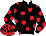 Casaque 
