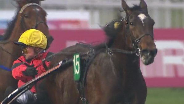 CASH AND GO frère de BOLD EAGLE