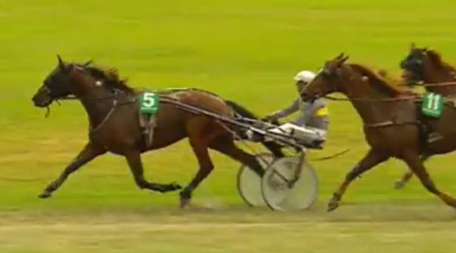 CASH PRIDE drivé par Manuel CRIADO vainqueur de la 5ème étape de Trophée Vert 2018 à VILLENEUVE-SUR-LOT