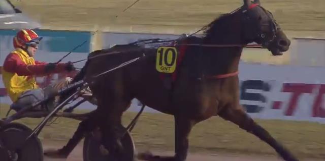 CEYLAN DAIRPET (Yoann LEBOURGEOIS) gagnant de la 13ème étape du Grand National du Trot 2018 sur l'hippodrome de MAUQUENCHY