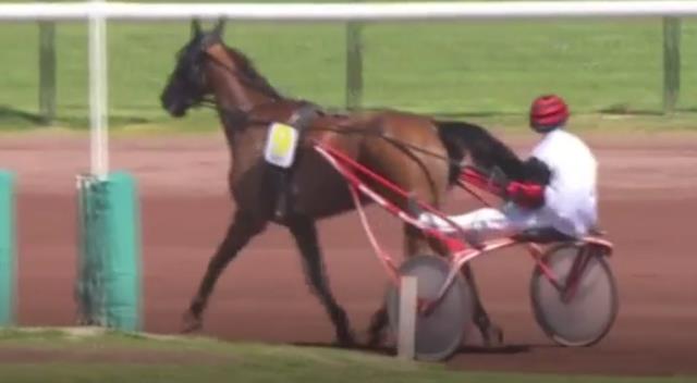 CLEANGAME (9 - Alexandre ABRIVARD) gagnant de la 2ème étape du Grand National du Trot 2018 à MARSEILLE BORÉLY