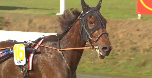 CLEANGAME (Jean-Michel BAZIRE) gagnant de la 12ème étape du Grand National du Trot 2018 sur l'hippodrome de NANTES