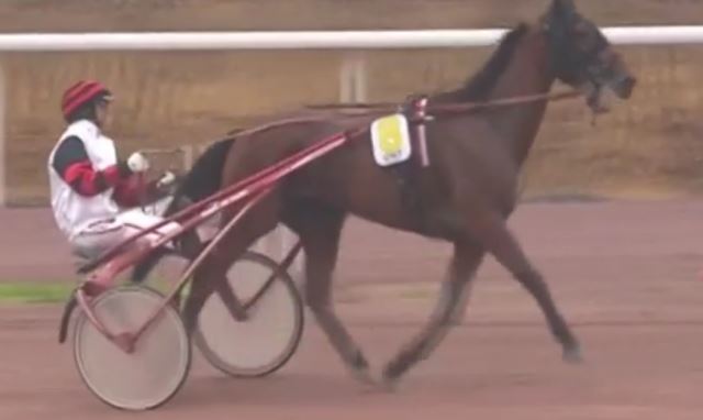 CLEANGAME (Jean-Michel BAZIRE) gagnant de la 6ème étape du Grand National du Trot 2018 sur l'hippodrome de LAVAL