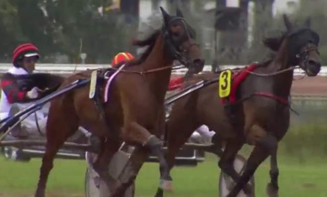 CLEANGAME (Jean-Michel BAZIRE) gagnant de la 9ème étape du Grand National du Trot 2018 sur l'hippodrome de PORNICHET LA BAULE