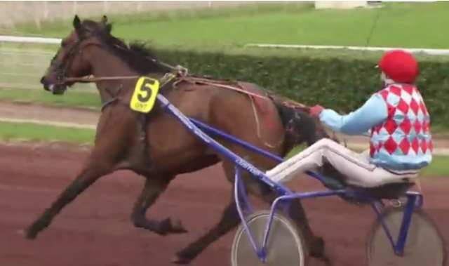 COLONEL BOND (5 - Pierre VERCRUYSSE) gagnant de la 3ème étape du Grand National du Trot 2018 à LYON LA-SOIE