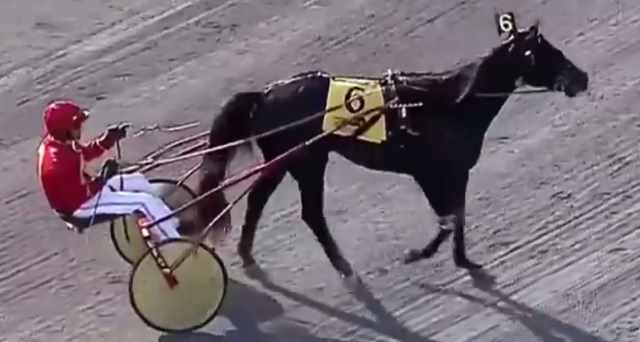 CRUZADO DELA NOCHE (Brian SEARS) - THE YONKERS INTERNATIONAL TROT 2018